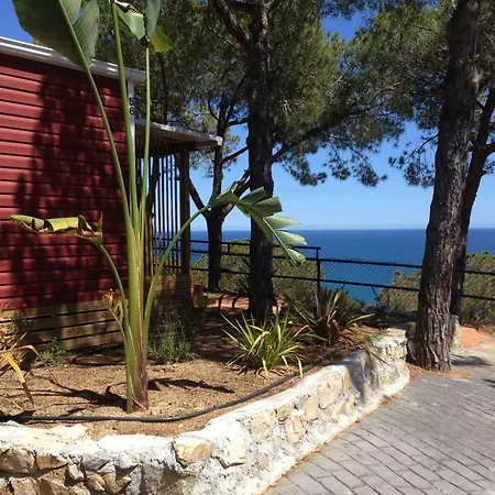 In De La Costa 3641